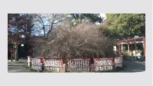 冠稲荷神社(群馬県)