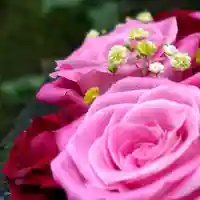 帯廣神社の手水舎