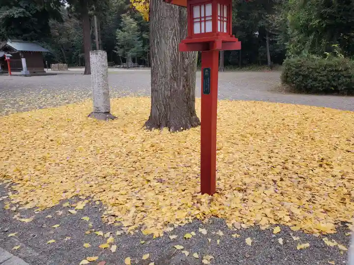 鷲宮神社(埼玉県)