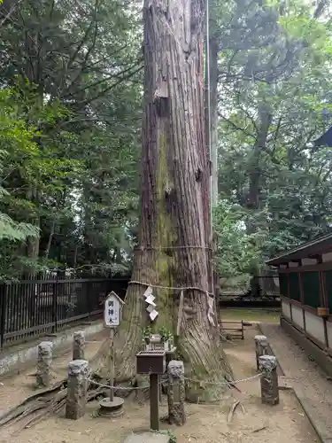 一言主神社(茨城県)