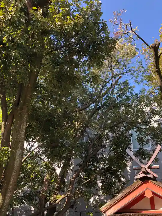 率川神社(大神神社摂社)(奈良県)