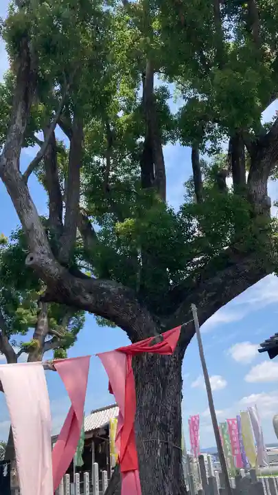 玉田神社(京都府)