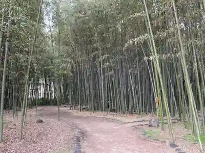 大覚寺(京都府)