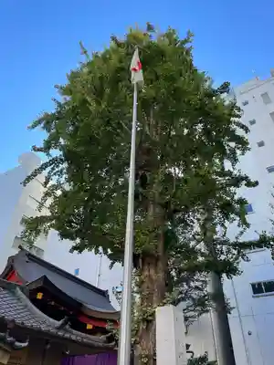 日本橋日枝神社(東京都)