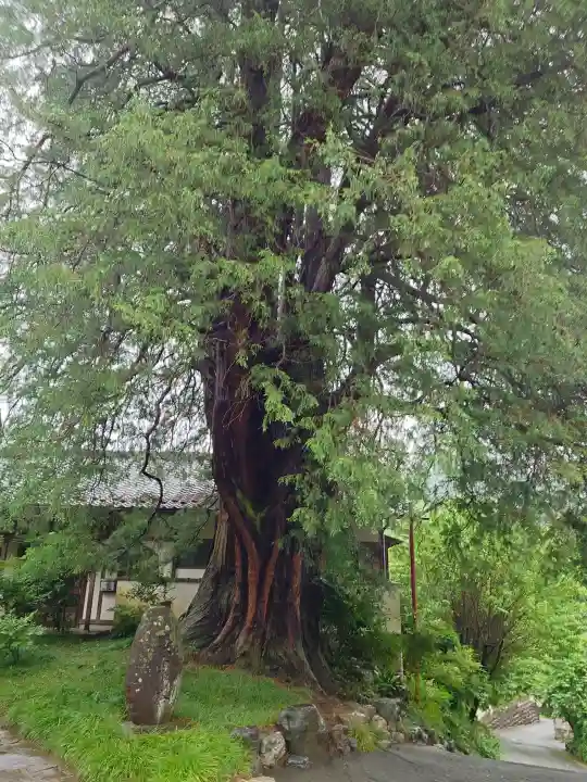 崇禅寺(群馬県)