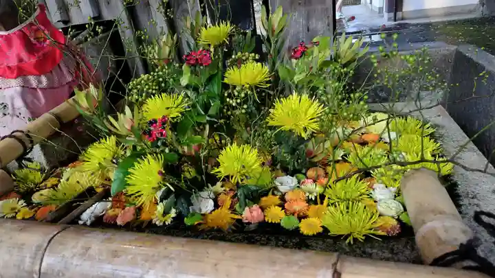 北野天満宮(京都府)