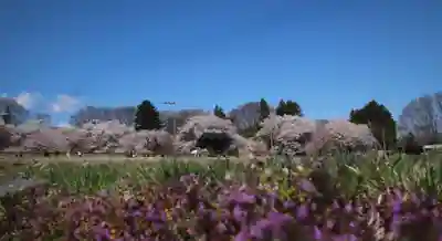 北口本宮冨士浅間神社(山梨県)