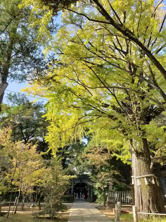 赤坂氷川神社(東京都)