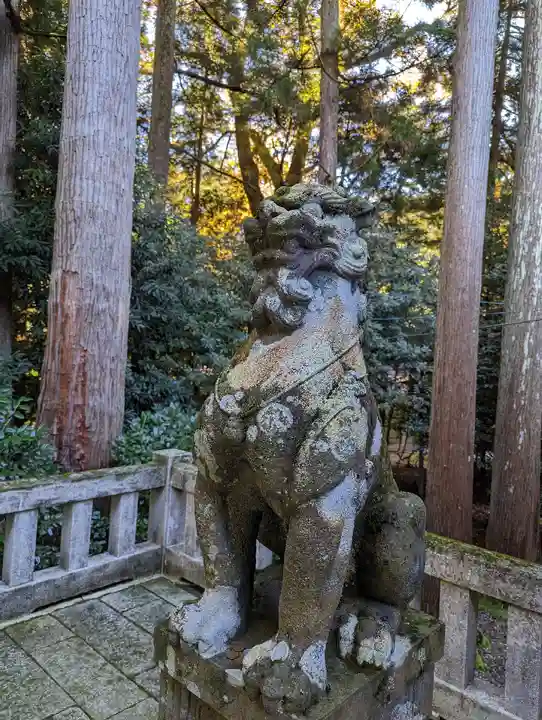 彌彦神社の狛犬