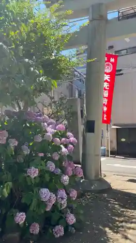 矢先稲荷神社(東京都)
