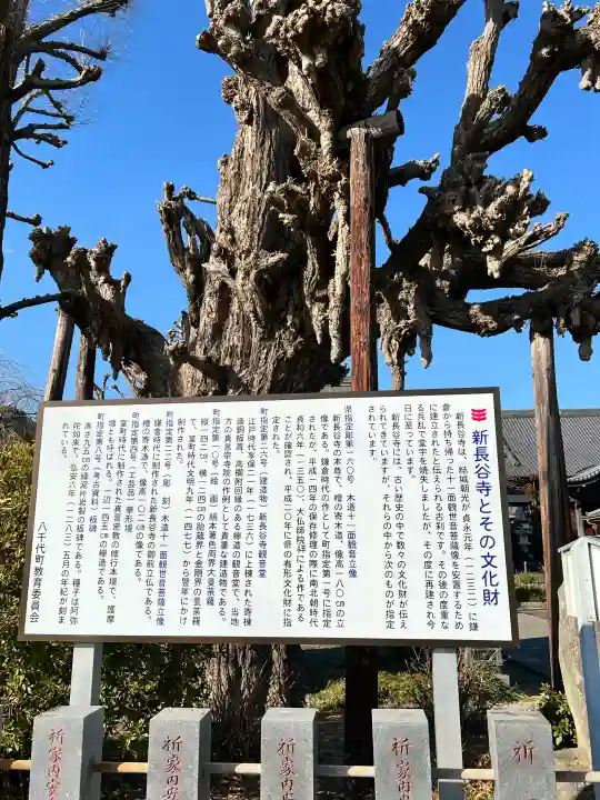 新長谷寺(八町観音)(茨城県)