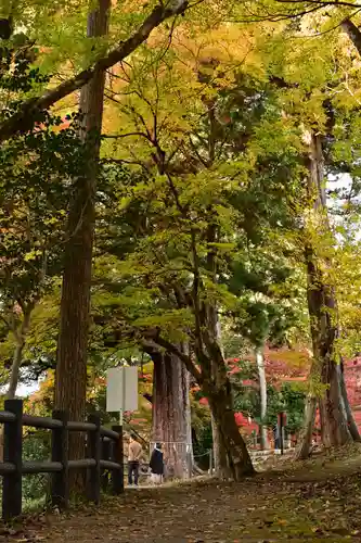 大瀧神社(滋賀県)