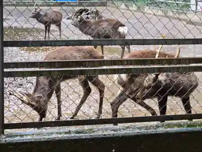 鹿島神宮(茨城県)