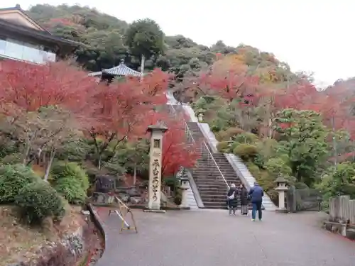 三室戸寺(京都府)