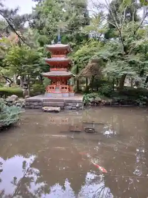 妙光寺(新潟県)