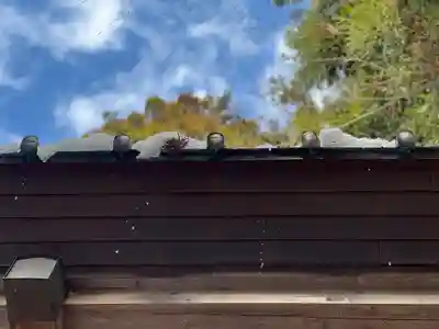 須山浅間神社のその他建物