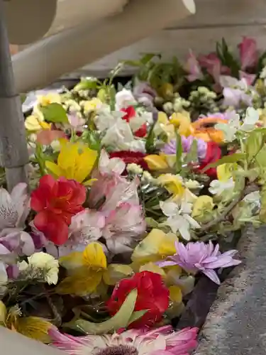 鳩森八幡神社(東京都)