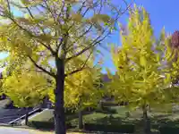 白山神社(福井県)