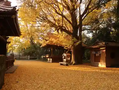 玉敷神社(埼玉県)