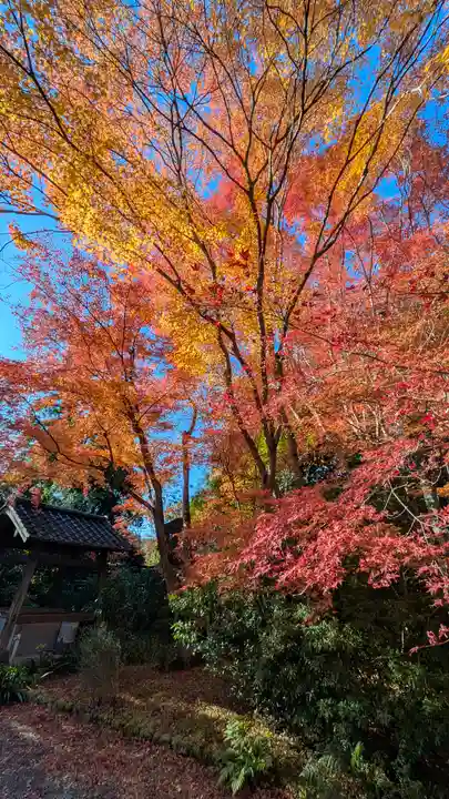 常照寺(京都府)