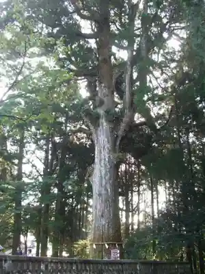 霧島神宮(鹿児島県)