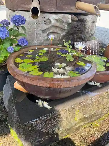 深大寺(東京都)