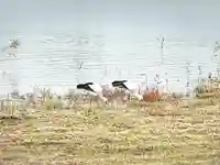 常徳寺(兵庫県)