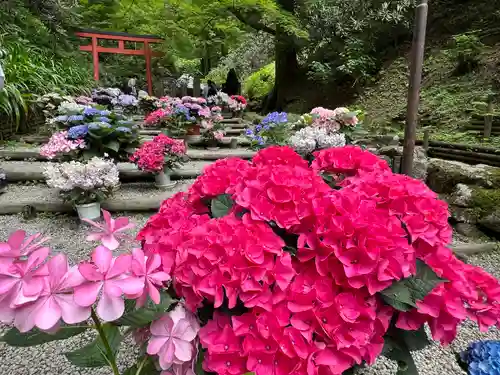 岡寺（龍蓋寺）(奈良県)