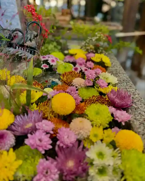札幌諏訪神社の手水舎