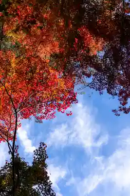 大矢田神社(岐阜県)