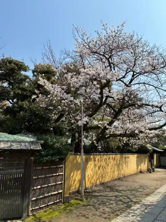 題経寺(柴又帝釈天)の{uncategorized: "未分類", other: "その他", undefined: "問題あり", building: "その他建物", grave: "お墓", sacred_gate: "鳥居", guardian: "狛犬", statue: "像", buddha: "仏像", history: "歴史", nature: "自然", garden: "庭園", animal: "動物", pagoda: "塔", temizu: "手水舎", mountain_gate: "山門・神門", sanctuary: "本殿・本堂", subordinate: "末社・摂社", art: "芸術", scenery: "景色", jizo: "地蔵", ema: "絵馬", goshuin: "御朱印", omikuji: "おみくじ", items: "授与品その他", amulet: "お守り", goshuincho: "御朱印帳", eats: "食事", festival: "お祭り", votive_dance: "神楽", shichigosan: "七五三参", wedding: "結婚式", experience: "体験その他", initially: "初詣", around: "周辺", anti_infection: "感染症対策"}