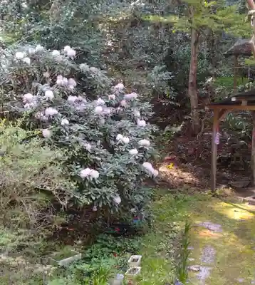 滝不動院(宮城県)