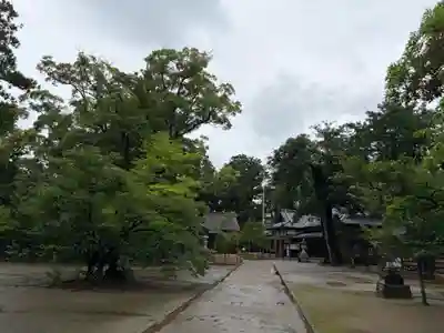 橘樹神社(千葉県)