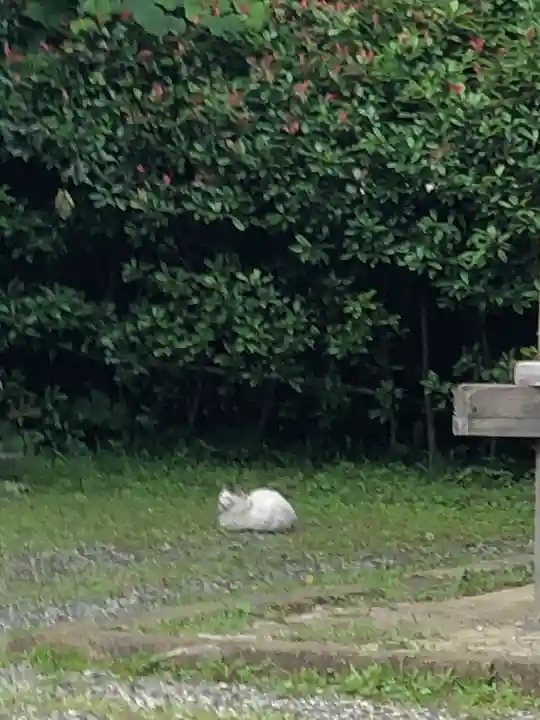 稱名寺の動物