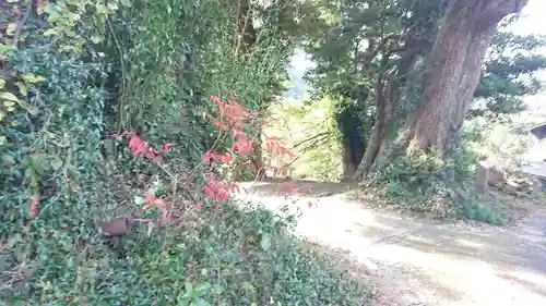 山神社（戸田）(静岡県)