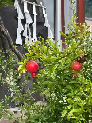横田神社(長野県)