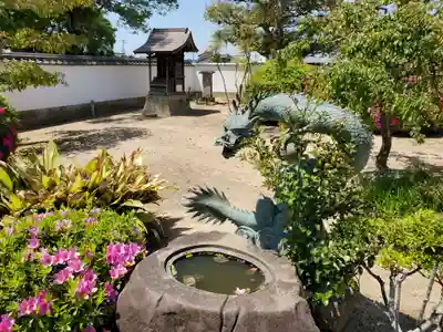 常観寺の手水舎