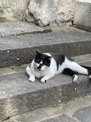 大綱金刀比羅神社(神奈川県)