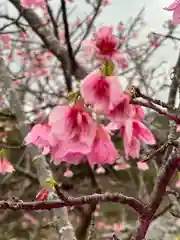 今帰仁里主所火の神(沖縄県)