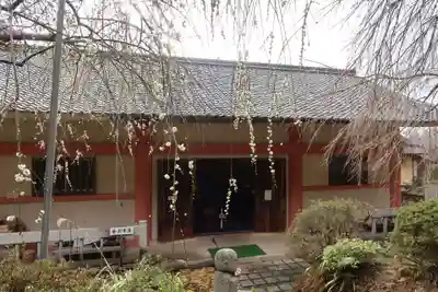 如意輪寺(奈良県)