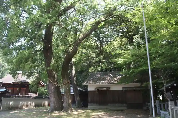 勝部神社(滋賀県)