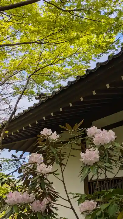 圓光寺(京都府)