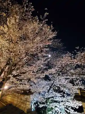 如宝寺(福島県)