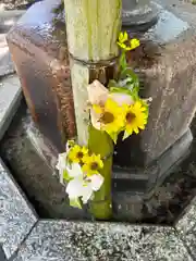 小名浜諏訪神社の手水