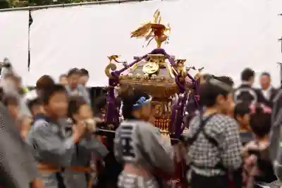 浅草寺のお祭り