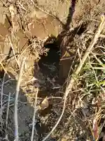 阿夫利神社(藤本観音山古墳)(栃木県)