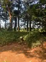 椿神社(千葉県)