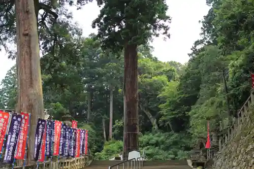 清水寺の自然