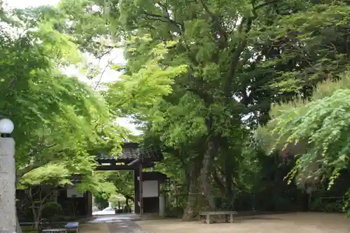 松尾神社(滋賀県)