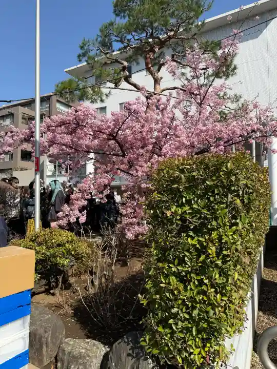 桜神宮の{uncategorized: "未分類", other: "その他", undefined: "問題あり", building: "その他建物", grave: "お墓", sacred_gate: "鳥居", guardian: "狛犬", statue: "像", buddha: "仏像", history: "歴史", nature: "自然", garden: "庭園", animal: "動物", pagoda: "塔", temizu: "手水舎", mountain_gate: "山門・神門", sanctuary: "本殿・本堂", subordinate: "末社・摂社", art: "芸術", scenery: "景色", jizo: "地蔵", ema: "絵馬", goshuin: "御朱印", omikuji: "おみくじ", items: "授与品その他", amulet: "お守り", goshuincho: "御朱印帳", eats: "食事", festival: "お祭り", votive_dance: "神楽", shichigosan: "七五三参", wedding: "結婚式", experience: "体験その他", initially: "初詣", around: "周辺", anti_infection: "感染症対策"}
